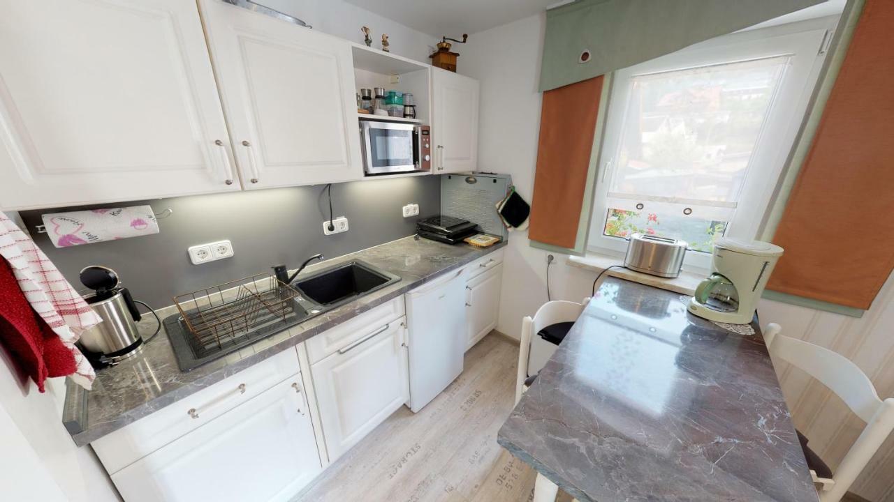 Ferienwohnung Wild Klingenthal Exteriör bild